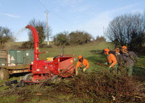 désherbage tonte taille débroussaillage espaces verts chalonnes mauges maine et loire