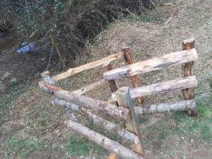 désherbage tonte taille débroussaillage espaces verts chalonnes mauges maine et loire