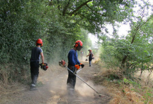 désherbage tonte taille débroussaillage espaces verts chalonnes mauges maine et loire