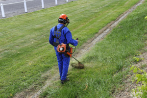 remise-en-état terrain jardin nettoyer tondre nettoyage extérieurs Maine-et-Loire 49